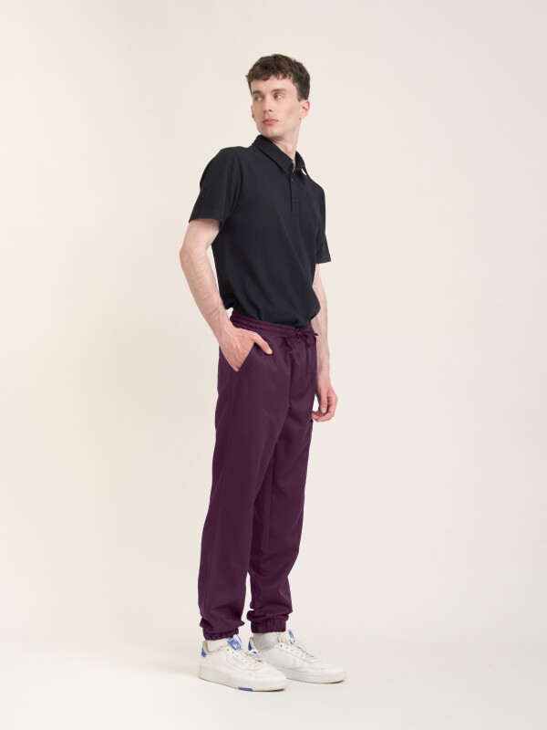 Pull-on Trousers Men SAKAI, aubergine M